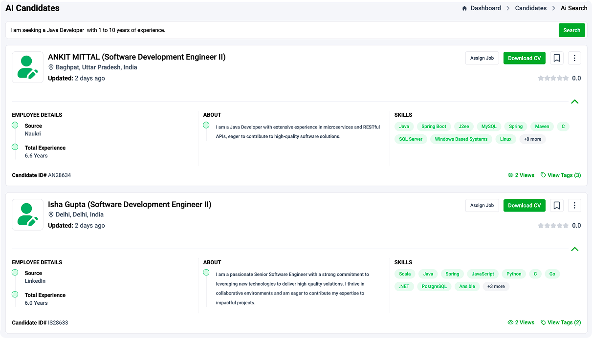 AI candidate search preview